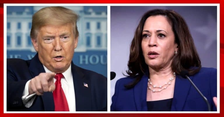 GOP Leader Exposes Trump Case Secret – And This Stunner Is Tied to Kamala Harris