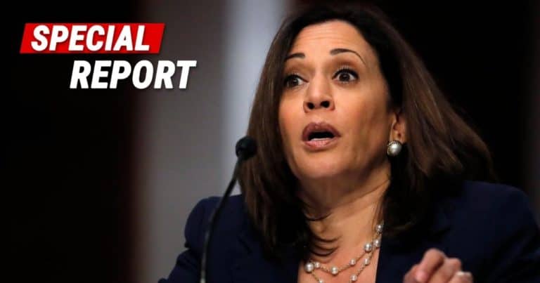 Kamala Is Struggling in Great Lakes States – Her Numbers Are Lower Than Hillary and Joe