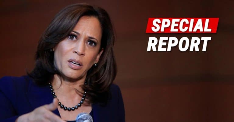 Just Weeks Before the Election Kamala Harris Accused of Serious Plagiarism