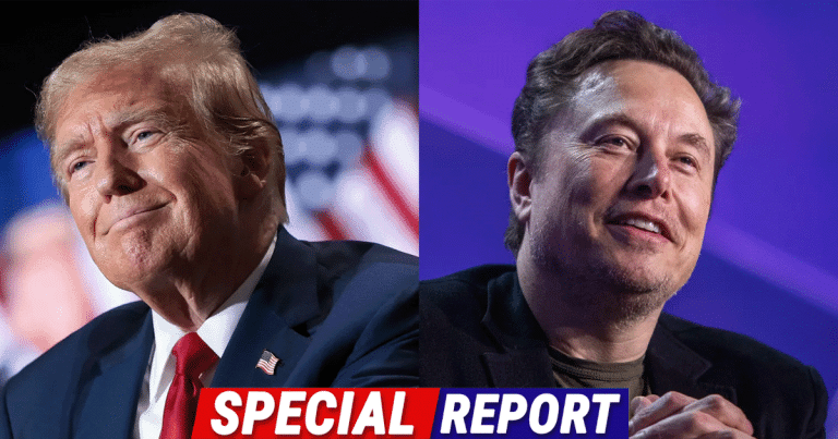 Elon Musk Teases Possible MSNBC Buyout as Left-Wing Media Craters Post-Trump Win