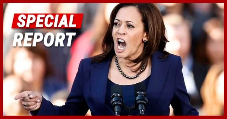 After Poll Claims Kamala up by 5 in Michigan, Gov. Whitmer Rejects Those Polls