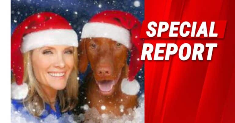 Dana Perino Says ‘Just 1 Drink’ Is Her Top Rule for Office Christmas Parties