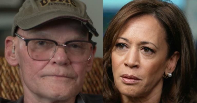 Top Democratic Strategist Calls Kamala Harris Campaign a ‘Disaster’ in PBS Interview