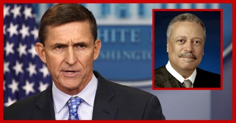 Federal Court Knocks Down Obama Judge – They Just Ordered The Michael Flynn Case To Be Dismissed