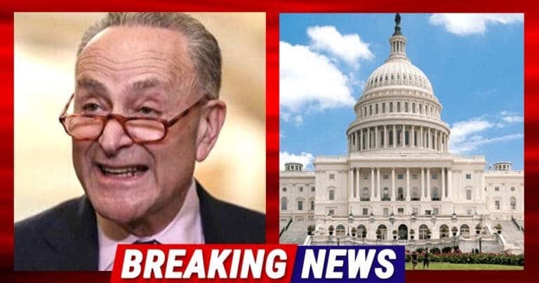 After Schumer Tries to Pull Border Trick – Republicans Send Chuck the Stunning Result