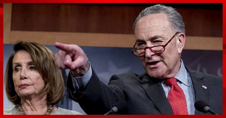 Chuck Schumer Makes 1 Disturbing Move – Look Which Flag He Waved During Event