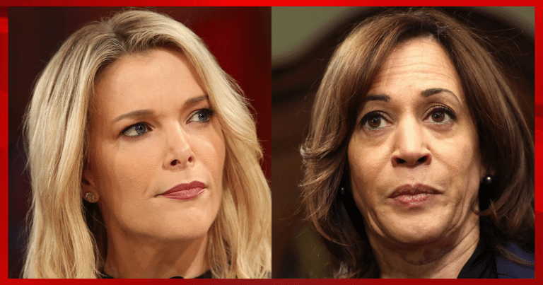 Megyn Kelly Shuts Down Kamala with One Word – Then Exposes Old Joe’s Biggest Problem