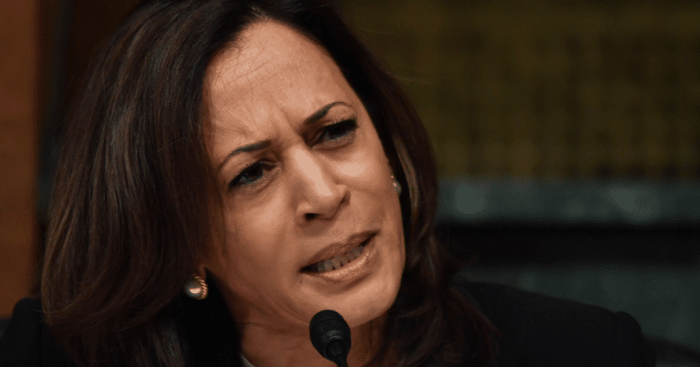 Kamala Harris Has Epic Post-Debate Meltdown – Even Democrats Left Speechless by This Video