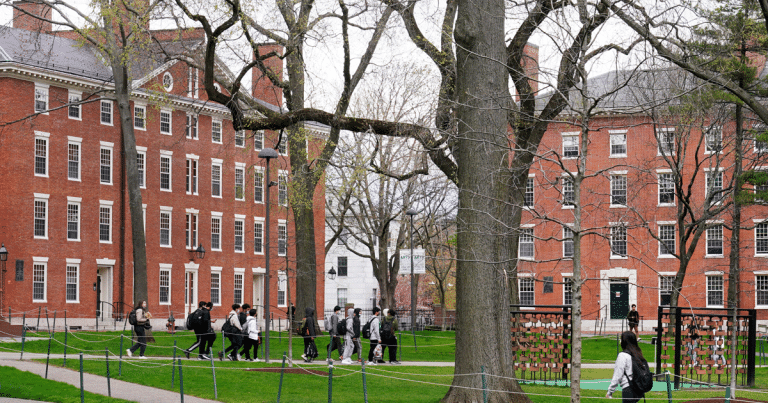 Woke Harvard Sinks to a New Low – Check Out This Pathetic Campus Move