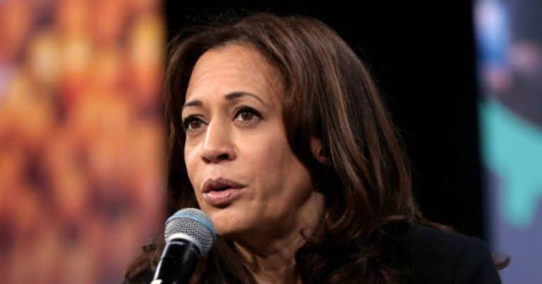 A Significant Number of Americans Believe the Democrat Party Was Unfair in Selecting Kamala Harris