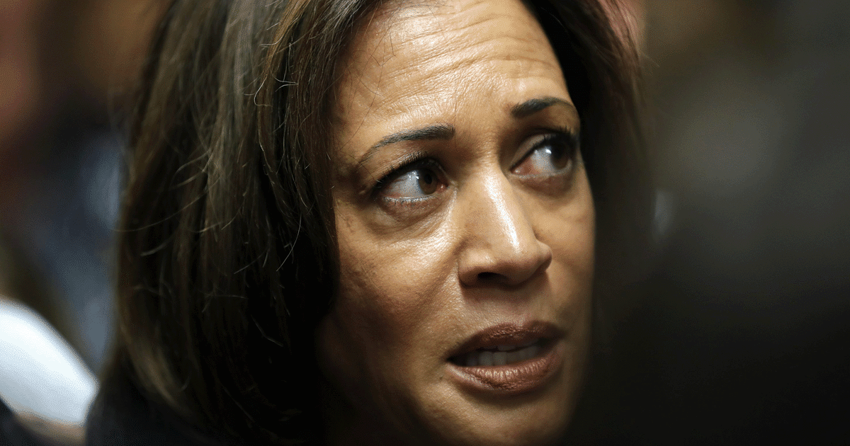 Top Kamala Adviser Confesses Her Past Polling Lead "Was Not Real"